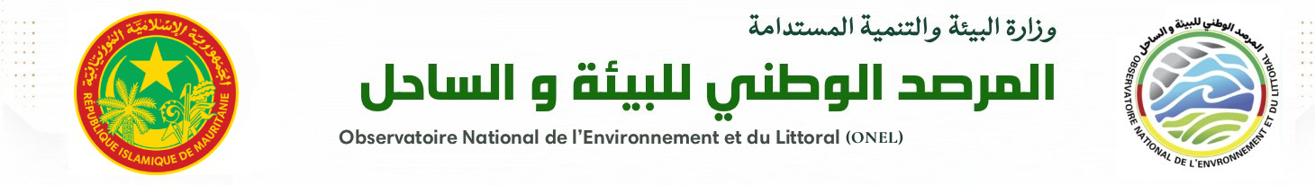 الرئيسية